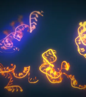 Synthetic BioSystems (SyBioS)
