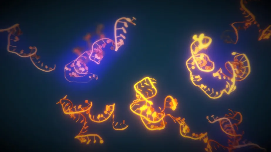 Synthetic BioSystems (SyBioS)