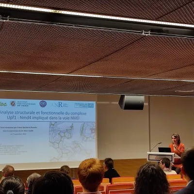In-house seminars : Teams Gautreau (Ekaterina TSYDENZHAPOVA : Role of the Nance-Horan syndrome protein in cell migration) + Schmitt/Méchulam (Valentina VARRIALE)