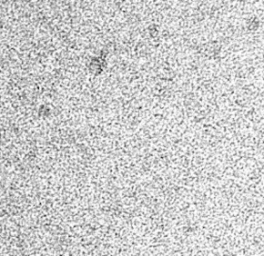 Exosome secretion: beyond simple membrane fusion