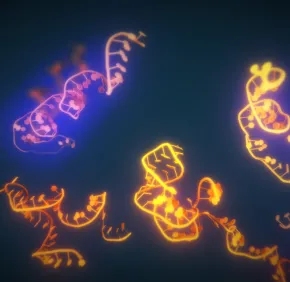 Synthetic BioSystems (SyBioS)