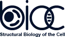 Structural Biology of the Cell Laboratory (BIOC)