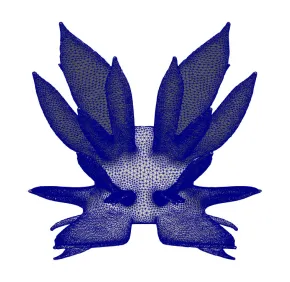Seminar of Maxime Herda (Inria Lille)