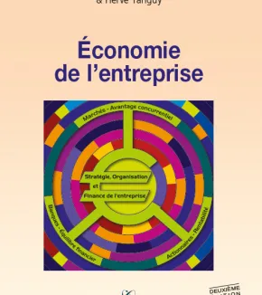 Économie de l'entreprise