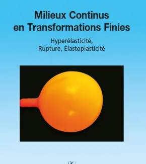 Milieux continus en transformations finies