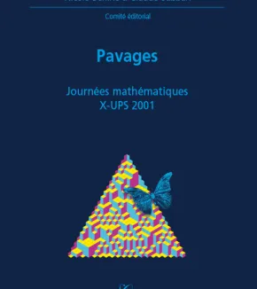 X-UPS 2001 : Pavages