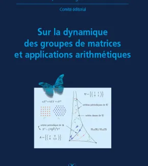 X-UPS 2007 : Sur la dynamique des groupes de matrices et applications arithmétiques