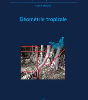 X-UPS 2008 : Géomètrie tropicale