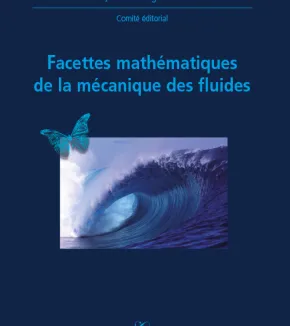 X-UPS 2010 : Facettes mathématiques de la mécanique des fluides