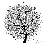 Les mathématiques au service de la santé et de l’environnement