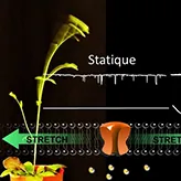 Vers une compréhension de la réaction des plantes face au vent
