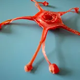 Quels projets naissent de l’École d’été de la Chaire arts & sciences ?
