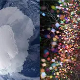 ERC Synergy : Climat en antarctique et Rôle de l’hippocampe dans le cerveau