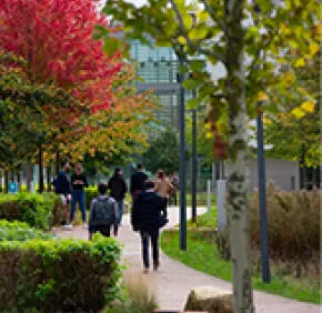 L'X confirme son rang de 2e meilleure université à taille humaine du monde