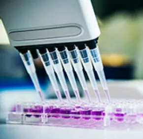 Trois projets lauréats 2020 pour le Programme d’Innovation Biomédicale