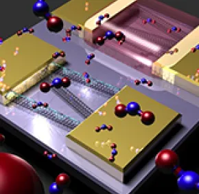 Un capteur de gaz miniature à base de nanotubes de carbones