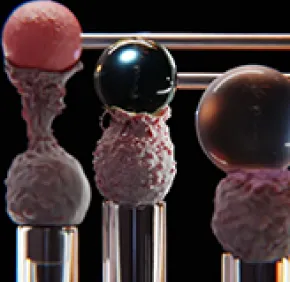 Rigides et visqueux, la vérité sur les globules blancs