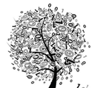 Les mathématiques au service de la santé et de l’environnement