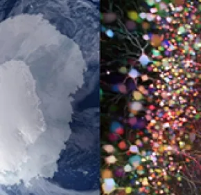 ERC Synergy : Climat en antarctique et Rôle de l’hippocampe dans le cerveau