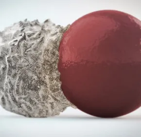 JeudiX à la croisée de la mécanique et de la biologie