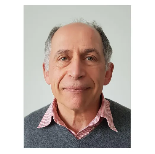 Technological disruptions and industrial dynamics, the case of the Electric Vehicle