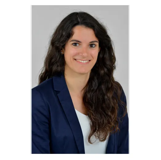 Individual and collective strategies of companies in the renewable energies sector