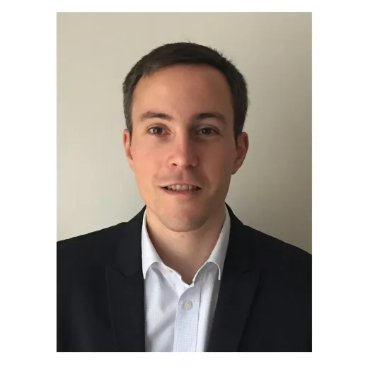 Managing disruptive technologies in the context of dual market and ecosystem uncertainty: the case of the autonomous vehicle