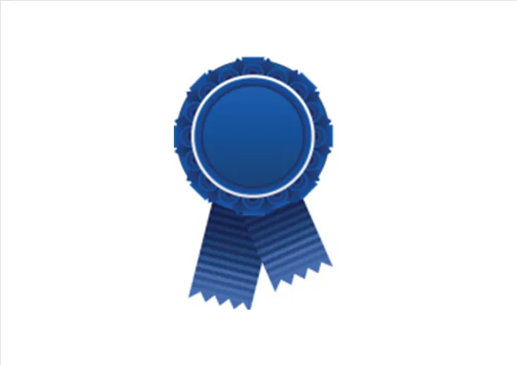 Prix « Meilleures implications managériales et sociétales » de l’AIMS-2015