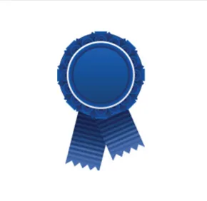Prix « Meilleures implications managériales et sociétales » de l’AIMS-2015