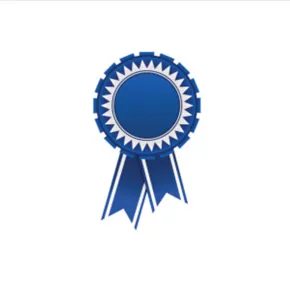Junior Professor Award