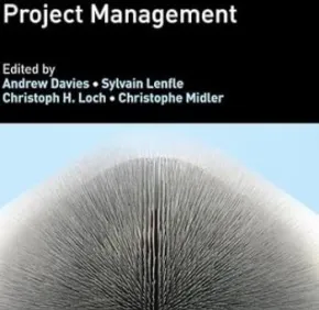 Handbook on Innovation and Project Management