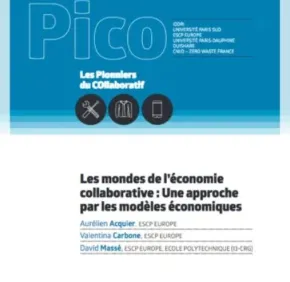 PICO – Collaborative economy pioneers
