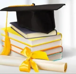 Séminaire de thèse : Lara Abdel Halim