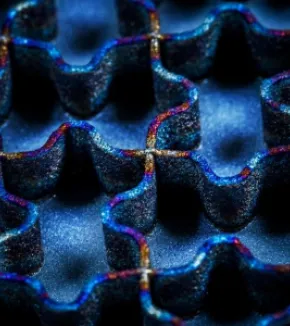 Thématiques de recherche