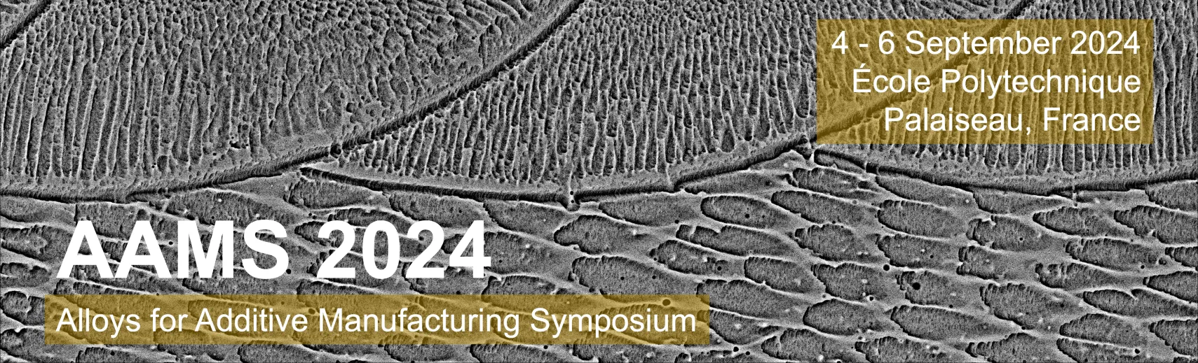 AAMS 2024