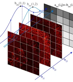 Wavefront control, adaptive optics, Bessel beams
