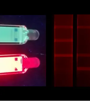 Détection in vitro de biomolécules