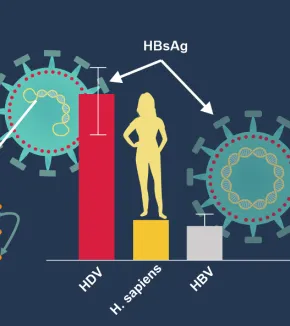 Unusual nucleic acid structures