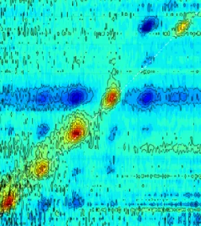 Spectroscopie et contrôle cohérent dans les systèmes biologiques