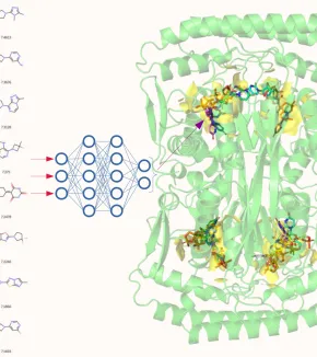 The mechanism, targeting, and evolution of the alternative thymidylate synthase ThyX