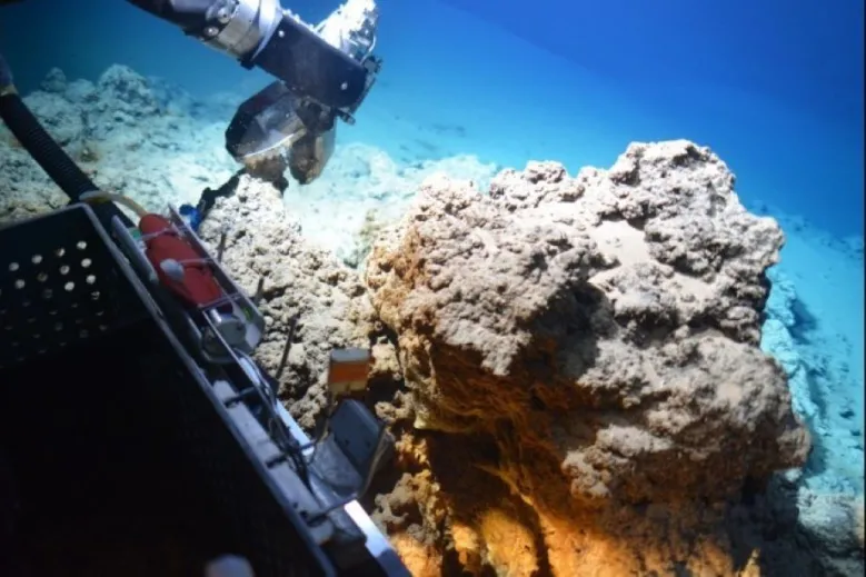 Le haut potentiel des archées