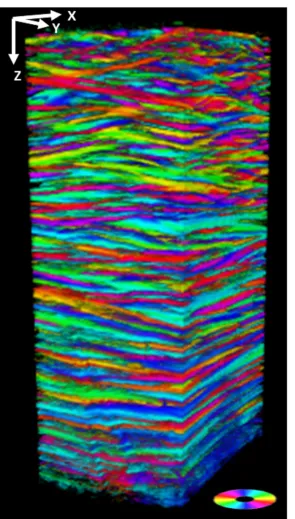 Cartographier la structure de la cornée humaine