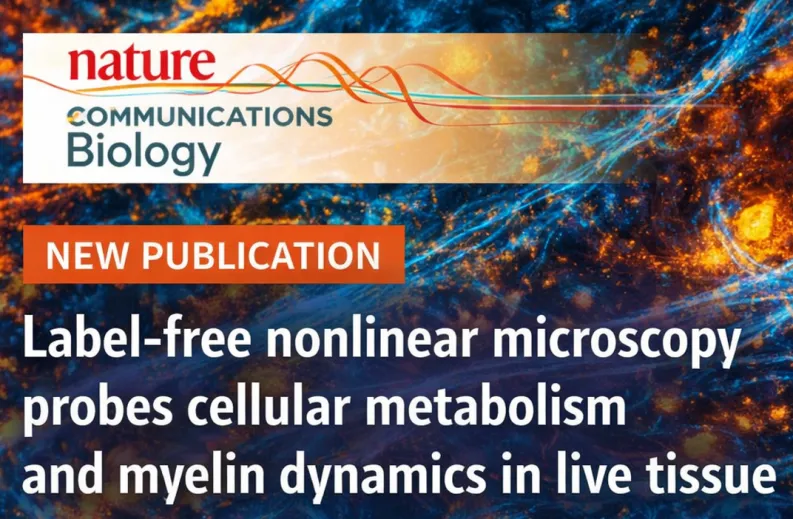 New publication in Nature Communication Biology, “Label-free nonlinear microscopy probes cellular metabolism and myelin dynamics in live tissue”