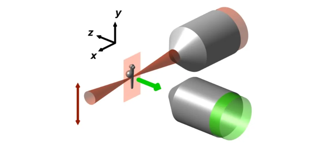 Two-photon light sheet microscopy (2P-SPIM)