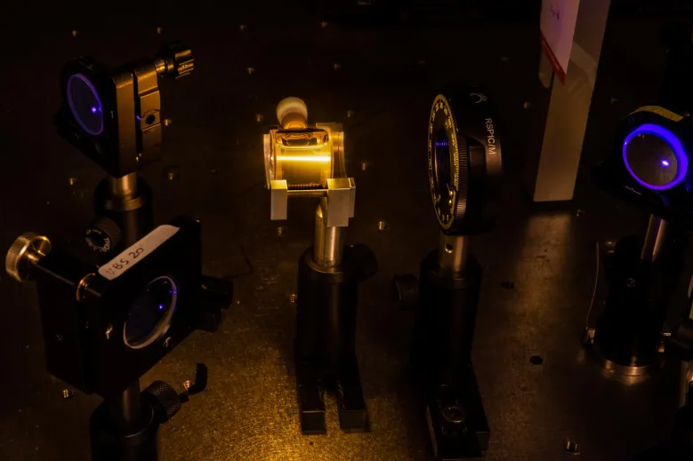 Dynamique de repliement des biomolécules sondée par dichroïsme circulaire résolu en temps