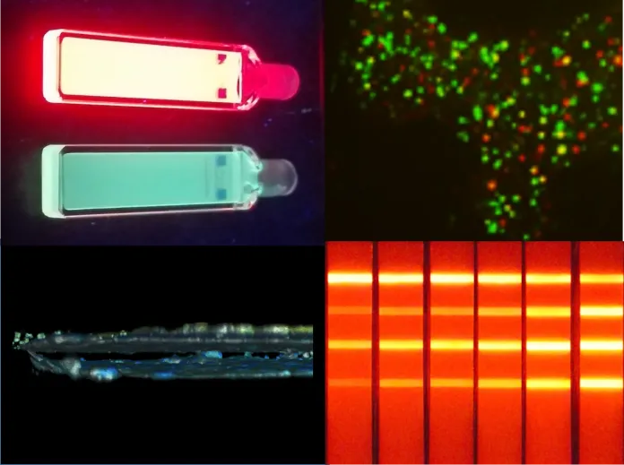 Nanoimagerie dynamique cellulaire et biologie quantitative