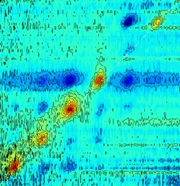 Spectroscopie et contrôle cohérent dans les systèmes biologiques