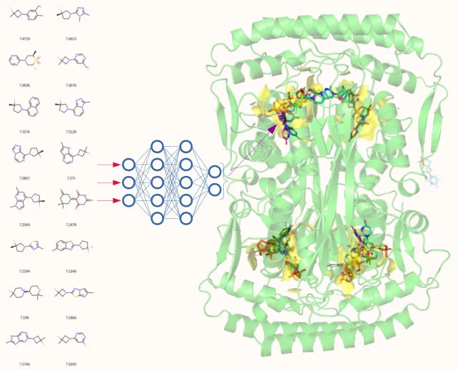 The mechanism, targeting, and evolution of the alternative thymidylate synthase ThyX