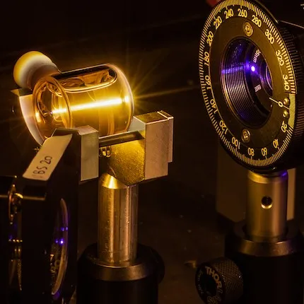 Dynamique interne des biomolécules