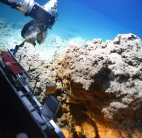 Le haut potentiel des archées